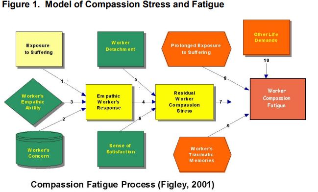 The Compassion Fatigue Process (Figley 2001)