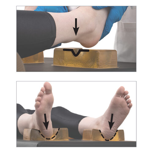 Heel Support Model with a Achilles-Notch Heel Cavity